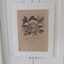 Helen Turkington Fine Art Print. Image 2