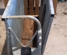 Calf dehorning crate