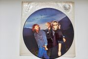 Bee Gees  You Win Again  12,, Pic Disc