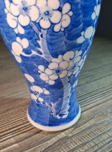 Chinese Prunus Pattern Vase Qing