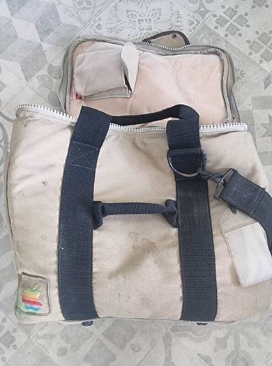 vintage apple bag