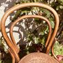 Antique Bentwood Cafe Chair with Original Factory Label Art Nouveau circa 1900 to 1925 Image 3