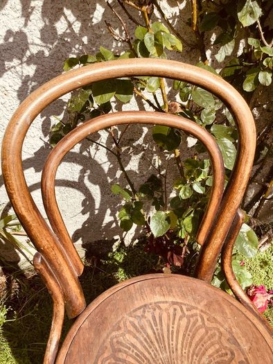 Antique Bentwood Cafe Chair with Original Factory Label Art Nouveau circa 1900 to 1925