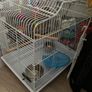 Bird cage Image 4