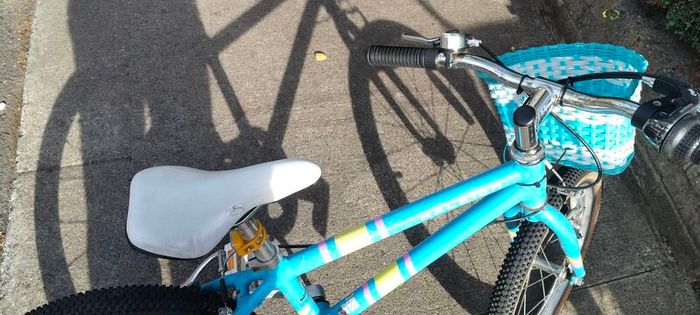Raleigh pop 18"