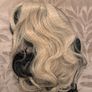 Cruella De Vil - Halloween Costume - Wig, Gloves and Dalmatian Shawl Image 3