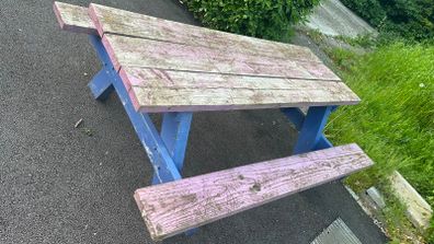 Picnic table sits 6-8 people