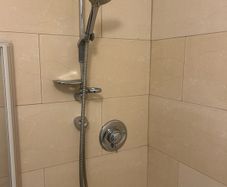 Mira chrome shower
