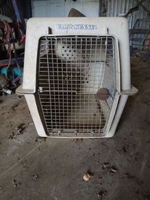 dog transport box