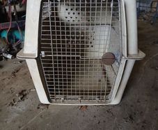 dog transport box