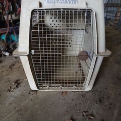 dog transport box