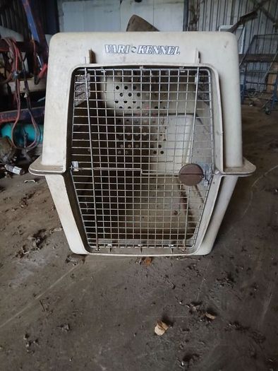 dog transport box