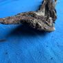 bog oak Image 9