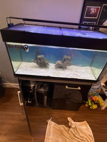 Fish tank
