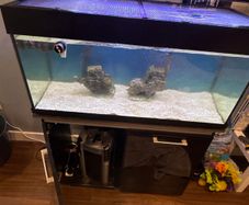 Fish tank