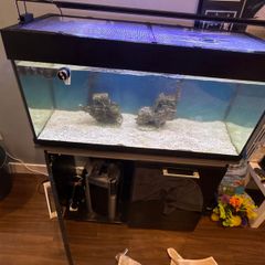 Fish tank Aquaone 175 litre