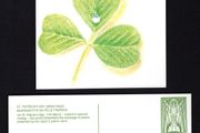1995 Ireland An Post St Patrick Day Card with pre-paid stamp (St. Patrick Design)