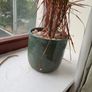 Plant Pot Image 2