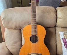 Tanglewood TWJP-E Parlor Guitar