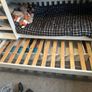 Triple bunk bed Image 4