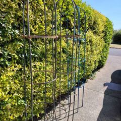 flower climbing frames garden