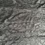 Lace Dress Image 6