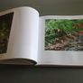 Wild Garden Landscape photography from County Wicklow Ireland Irish Image 4