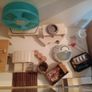 hamster enclosure Image 6