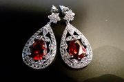 Stunning Earrings