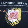 Turkeys (poultry) Image 4