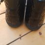 girls Geox shoes Image 4