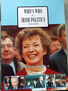 Who's who in Irish politics: The top 500