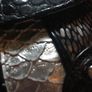 River Island small bag, like new Image 4