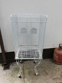 bird cage