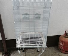 bird cage