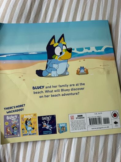 Bluey kids book bundle