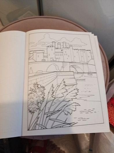 adult colouring book