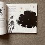 Tree Dogs, Banshee Fingers and Other Irish Words for Nature Image 4