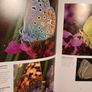 The Natural Garden Handbook / Caroline  Foley 2009 Image 7