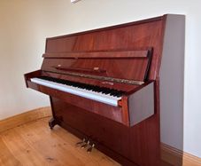 Waldstein Piano