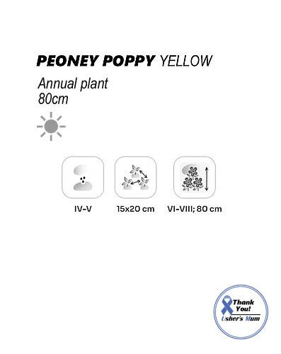 (P) Peony Poppy Yellow seeds 0.5g (approx 1200 seeds) (415755)