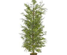 Artificial Plant Cypress Tree with Pot Green 150 cm