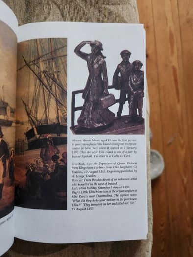 The Irish Famine. An Illustrated History By Helen Litton. First Edition Paperback In Good Condition.