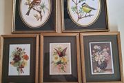 Art  - Coloured Prints X 5