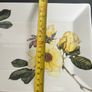Tipperary Crystal  Botanical Studio - Mermaid Rose Plate Image 6