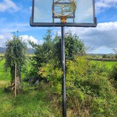 Forza Basketball Hoop