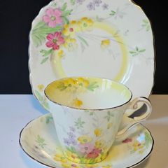 Rare Art Deco J.H. Cope & Co Wellington China Trio Tea Cup Plate & Saucer