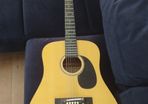 concerter  acoustic guitar