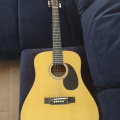 concerter  acoustic guitar