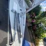 Laser Dinghy (Radial) (Open to Offers) Image 2